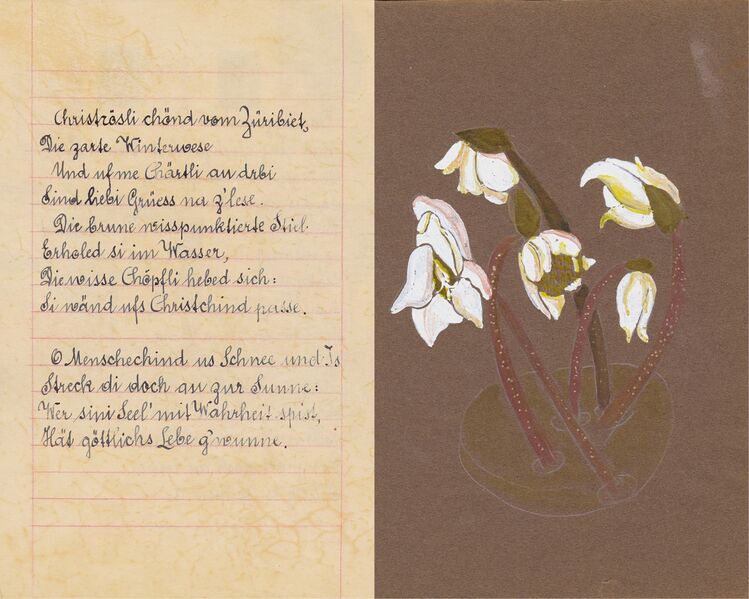 Datei:Hennig Helen 1953 30.jpeg