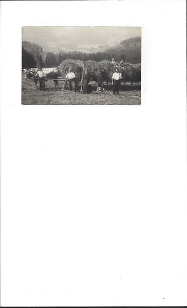 Datei:Sonnhalde Heuernte ca 1930.jpg
