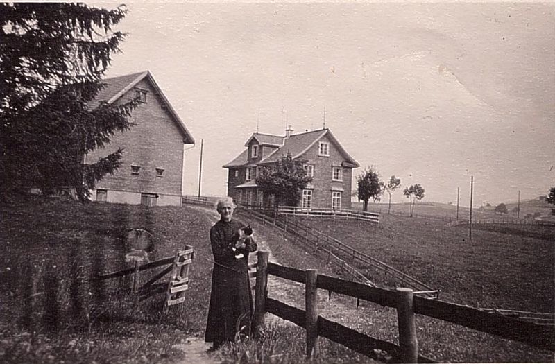 Datei:Steinegg 39 ca1930.jpg