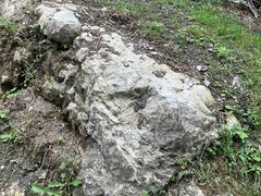 Aufschluss Tonablagerung an der Haldenstrasse