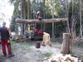 Stamm für Totem