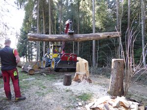 Transport Totem 2.jpg
