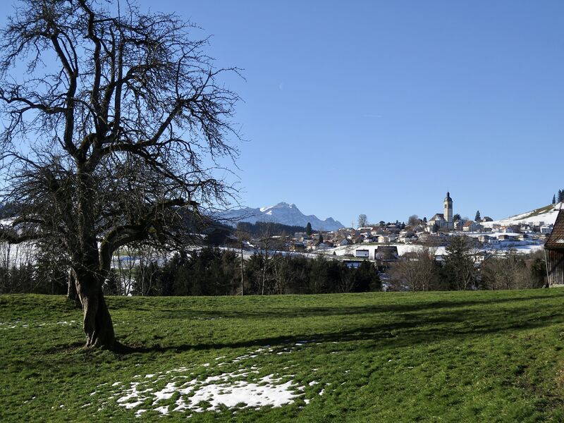 Datei:Ausblick von Kohlhalden.JPG