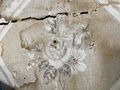 Blume Detail