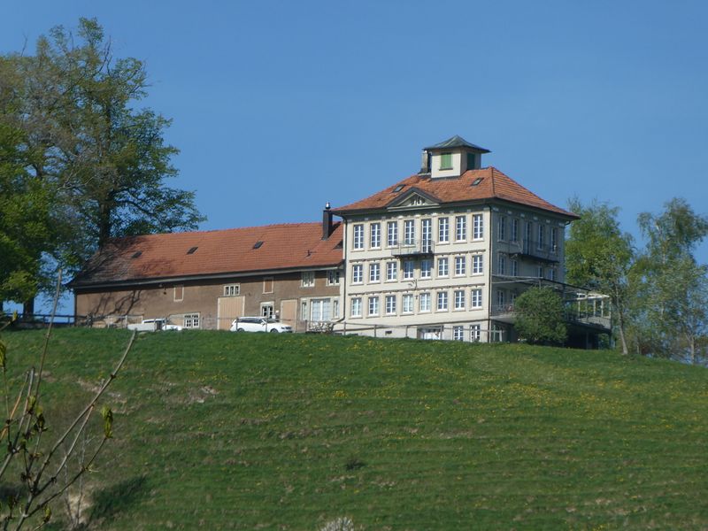 Datei:Birt 2018.jpg