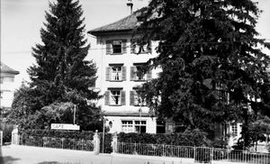 Hebeisen 1.JPG