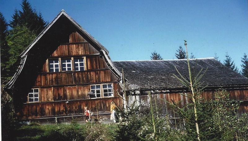 Datei:Alpenrose 2.jpg