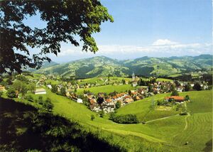 Blick vom Birt um1990.jpg