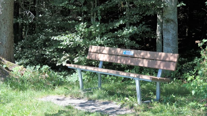 Datei:Bänkli Steineggerwald Pfadiheim.jpg