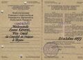 Diplomatenpass Vice-Consulin