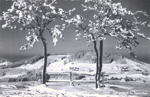 Skigebiet Neppenegg 1935 Gross.jpg