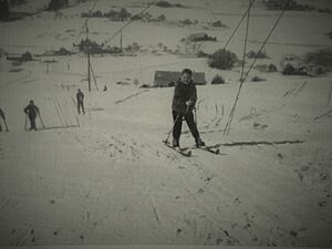 Skifahren am Neppenegglift.jpg