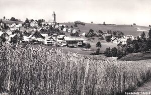 Kornfeld im Bendlehn mit Dorf Speicher.jpg