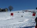 Skirennen 2010