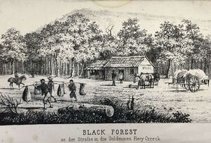 STG Black Forest.jpeg