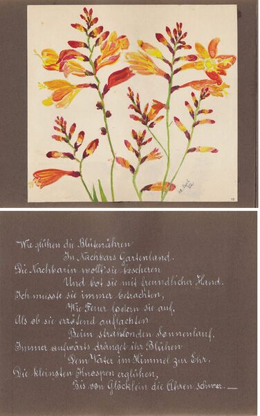 Datei:Helen Hennig 1952 Seite19.jpeg