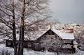 Winter 2004