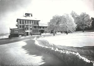 Birt 1950 Gross.jpg
