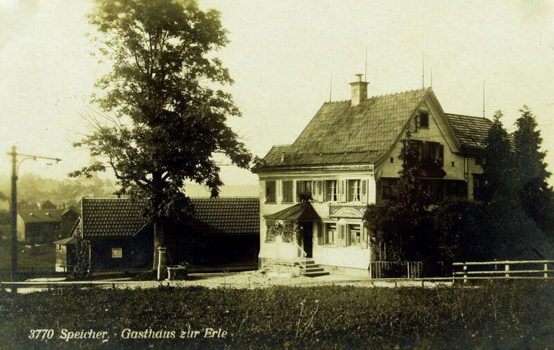 Datei:Erle 2.jpg