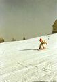 Skirennen 1986