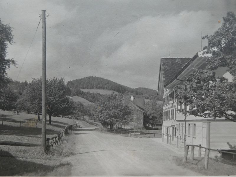 Datei:Bären um 1900.jpg