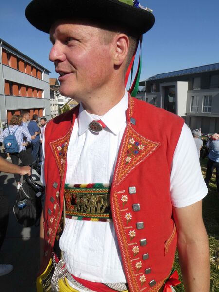 Datei:Ausserrhoder Brusttuch 2.jpeg