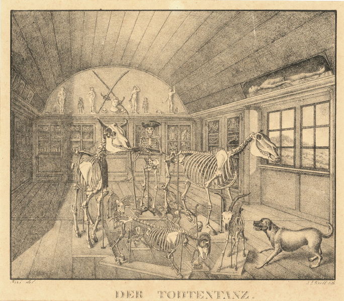 Datei:Affenhaus Inneres.jpeg