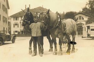 Stammbaum Schittli Schittli Arnold 1912.jpg