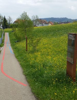 Eugsterweg mit Lebenslinien.jpg