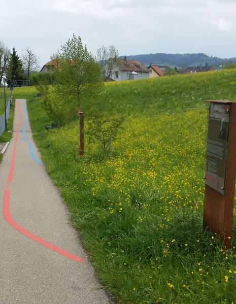 Datei:Eugsterweg mit Lebenslinien.jpg