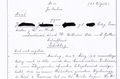 Auszug Obergerichtsurteil 1. Seite