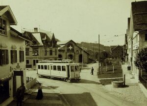 TB Rebstock 1903.jpg
