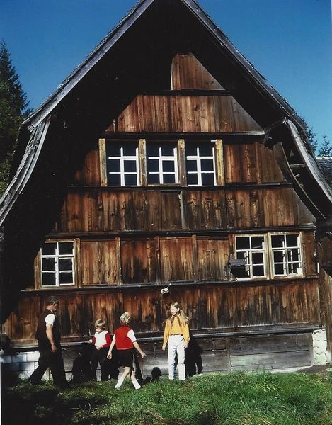 Datei:Alpenrose 1.jpg