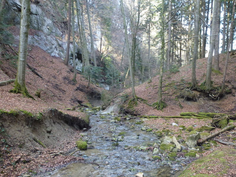 Datei:P1070976.JPG